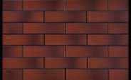 Cerrad Płytka Elewacyjna Rot Cieniowana 245x65x6,5 mm gładka